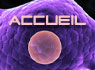 accueil